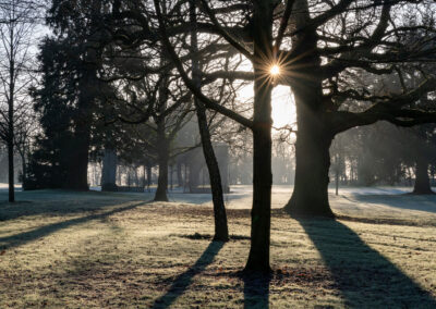 Morning sun